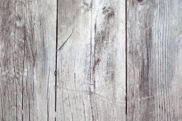 istock wooden planks background 1255018544
