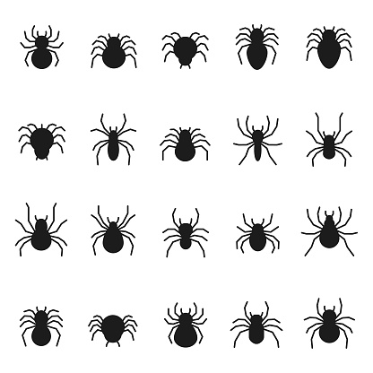 Spider Icon Set Stock Illustration - Download Image Now - Spider, Arachnid,  Danger - iStock