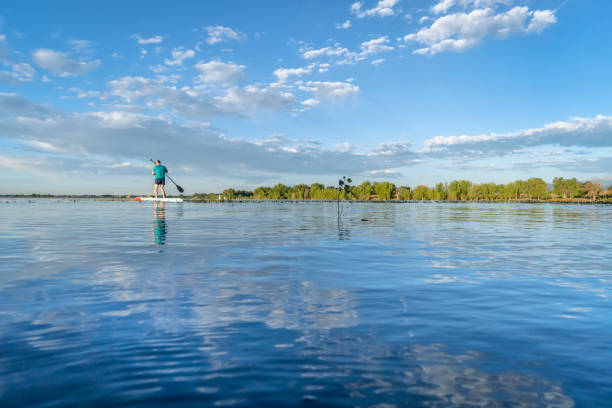 solo stand up paddler on a calm lake in Colorado solo stand up paddler on a calm lake in summer morning - Boyd Lake State Park in northern Colorado paddleboard surfing water sport low angle view stock pictures, royalty-free photos & images