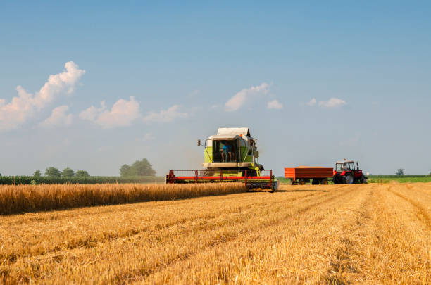 istock Harvester working on field, beautiful blue sky 1255022292