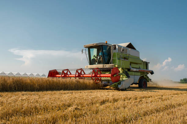 istock Closeup full shot of harvester working on field 1255022839