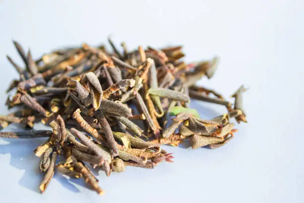Dry leaves of medicinal herbs for brewing tea. Dried Rhododendron Adamsia Sagan Dale, Sagaan Dali, on a white background. Selective focus. Space for text