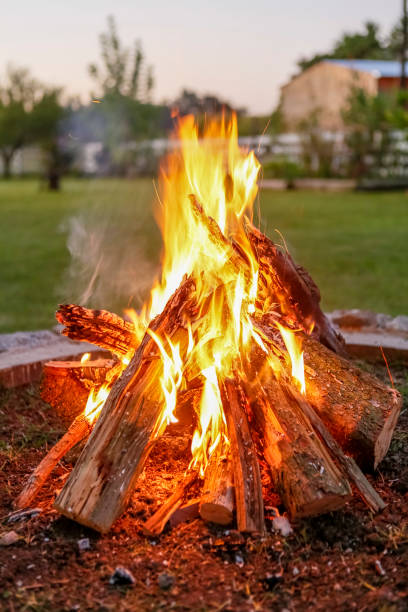 istock Wood fire in the garden at sunset 1255026791