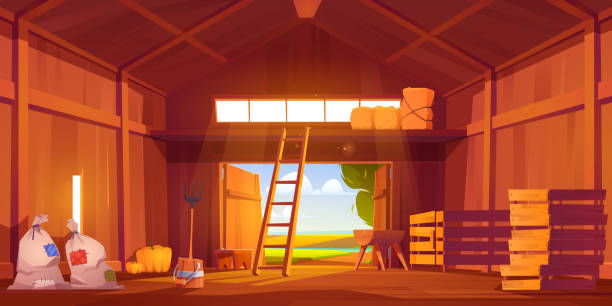 Barn on farm with harvest, straw and hay Barn on farm with harvest, straw and hay. Vector cartoon interior of old wooden shed with haystack on loft, ladder, fork, bags and pumpkin. Rural barnhouse for storage harvest horse barn stock illustrations