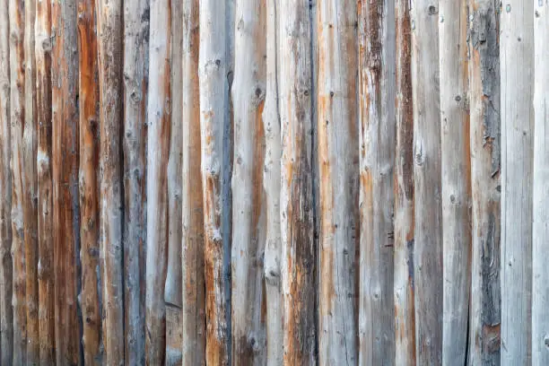 Background image with tree trunk fence fragment. Copy space.