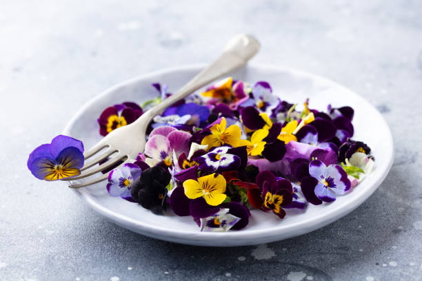 Edible flowers, field pansies, violets on white plate. Grey background. Close up. Edible flowers, field pansies, violets on white plate. Grey background. Close up. pansy photos stock pictures, royalty-free photos & images