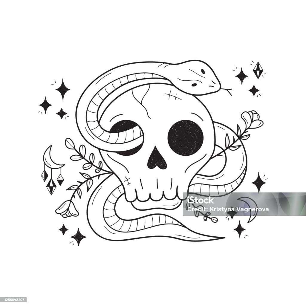 Skull With Snake Drawing Stock Illustration - Download Image Now ...