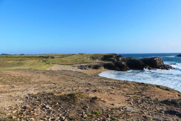 istock Wind on the wild coast Brittany 1255043366