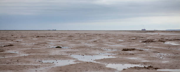istock Thames estuary mud flats at low tide late afternoon with copy space 1255045886