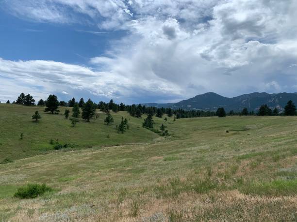 istock Mountain meadow with blue sky and clouds 1255047854