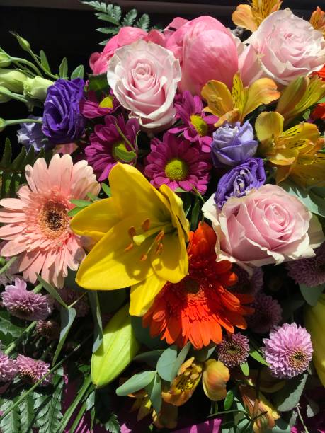 istock Summer colorful flowers 1255049294
