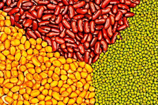 istock Peanuts , Mung beans and Kidney beans. 1255051048
