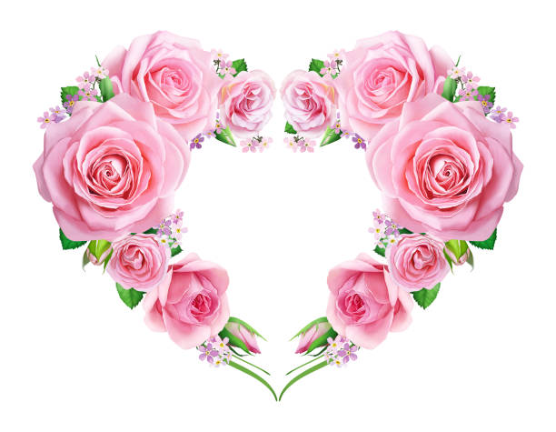 istock Heart of pink roses 1255052177