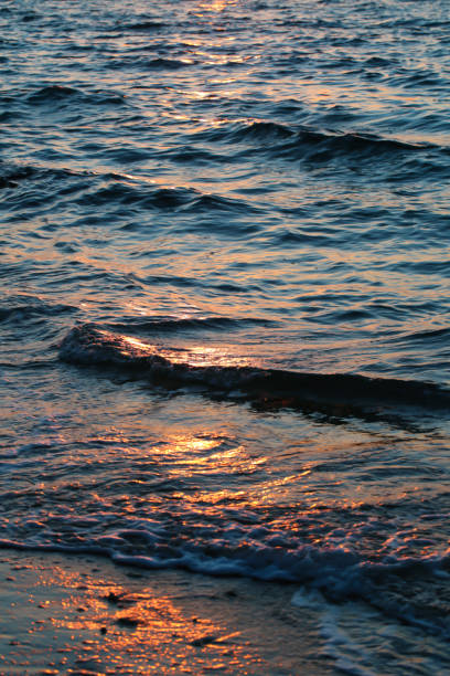Beach Seascape Sunset Wave Pattern Pretty Background Sunlight ...