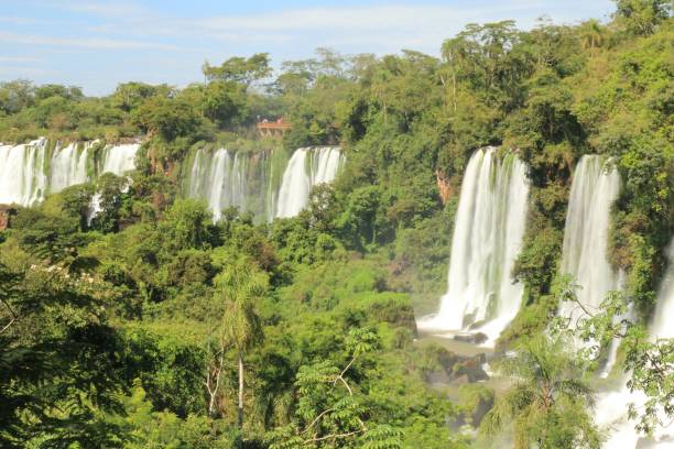 istock Two Sisters and Bossetti Jump - Iguazu Falls 1255052984