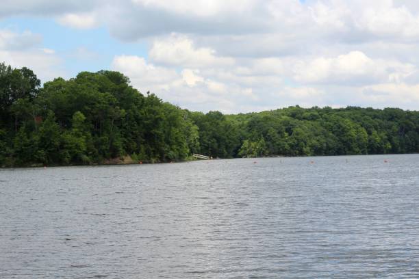 istock Peaceful Lake Fluffy White Clouds 1255060293