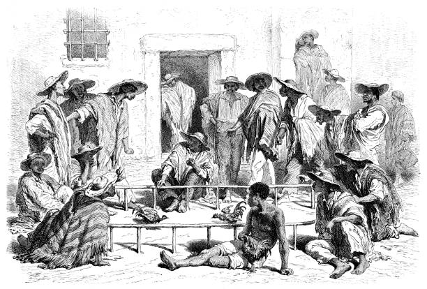 perkelahian ayam di new granada kolombia 1876 - judi sabung ayam ilustrasi stok