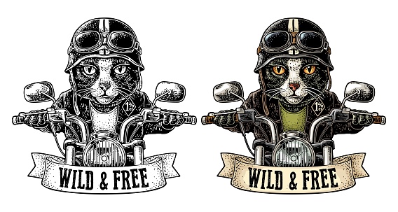 Cat dressed in the helmet and glasses driving a motorcycle rides. Vector hand drawn color vintage engraving. Isolated on white background. For poster and t-shirt biker club. WILD FREE lettering.