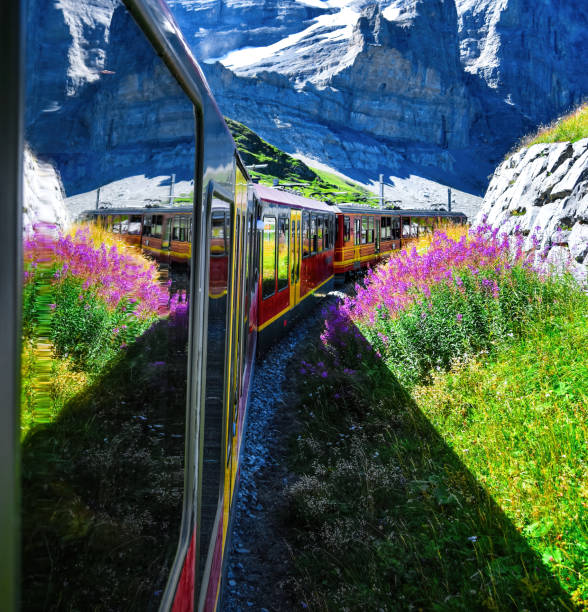 スイスアルプス体験 - swiss culture european alps mountain eiger ストックフォトと画像