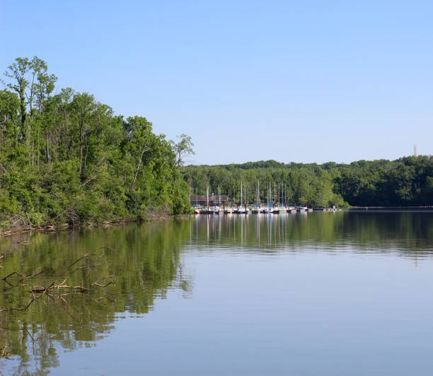 istock Clear Skies at Lake 1255062125