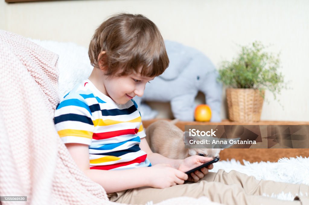 Cheerful Little Child Boy Playing Online Game Watching Video On Cellphone Smiling Small Kid Using Funny Mobile Apps Enjoying Free Leisure Time At Home Play Together With Puppy Dog Chihuahua Stock Photo - Cheerful Little Child Boy Playing Online Game Watching Video On Cellphone Smiling Small Kid Using Funny Mobile Apps Enjoying Free Leisure Time At Home Play Together With Puppy Dog Chihuahua Stock Photo -