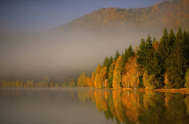 Autumn shot at the lake with multi-colored foliage in the forest with fog surrounding it