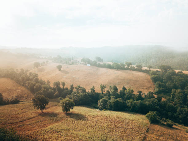 istock foggy countryside in tuscany at summer 1255073191