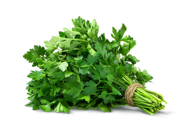 Perfect parsley bunch with a falling shadow. Ready for clipping path and for your design.