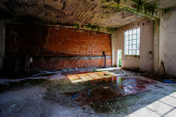 Abandoned Old Ruined Industrial Plant in Veneto Italy