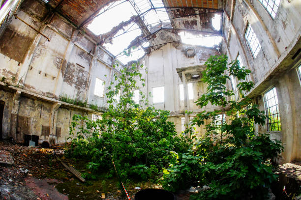 istock Abandoned Old Ruined Industrial Plant 1255082334