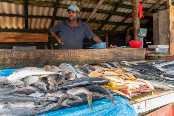 istock Man selling fish at small local fish market 1255085967