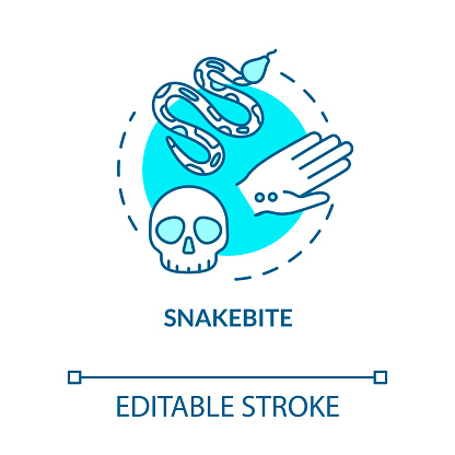 Snakebite, bitten wound concept icon. Poisonous snake bite, organism intoxication, health damage idea thin line illustration. Vector isolated outline RGB color drawing. Editable stroke