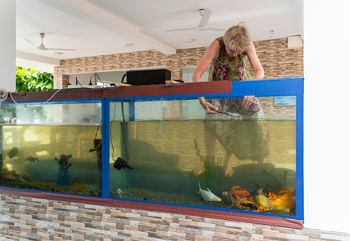 A mature 55-years-old active positive attractive woman cleaning a huge fish tank