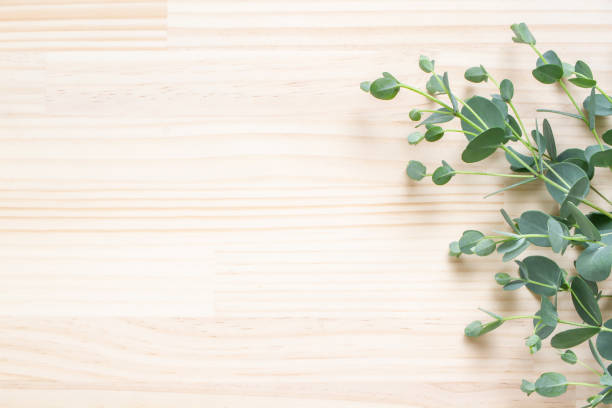 istock Eucalyptus leaf on wooden background 1255088889