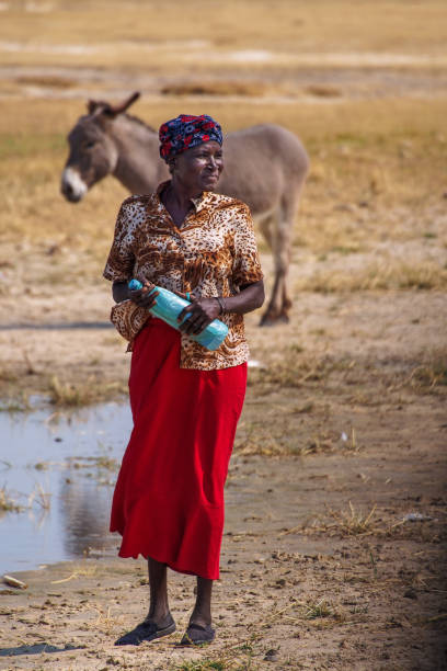 opuwo, namibia: donne namibiane con il suo asino, viste a opuwo nella regione di kunene in namibia - student outdoors clothing southern africa foto e immagini stock