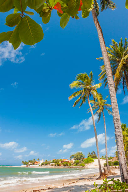 istock Sunny tropical paradise beach with palm trees background 1255090240