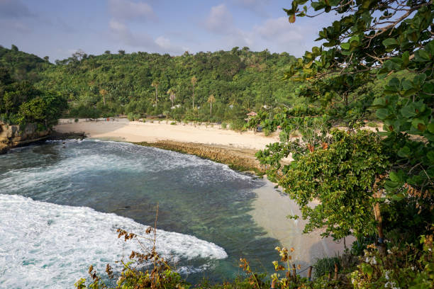 istock Beautiful sea wave foam at Batu Bengkung Beach. Exotic paradise in Malang, East Java, Indonesia. Scenic ocean wave view of beach. 1255093529