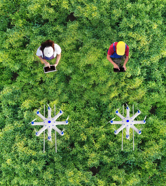 istock Farmers spraying crops using a drone 1255094157