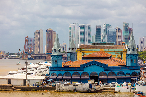 Belem, capital of the State of Para. Elegant buildings in the background.