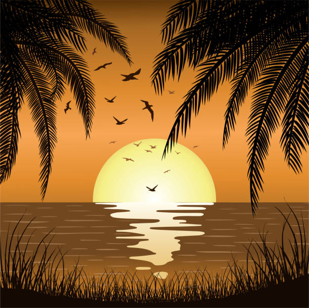 Sunset Sunrise with Beach Palm Trees of Ocean Island Paradise Palm Trees Beach on Tropical Ocean Island fantasy moonlight beach stock illustrations