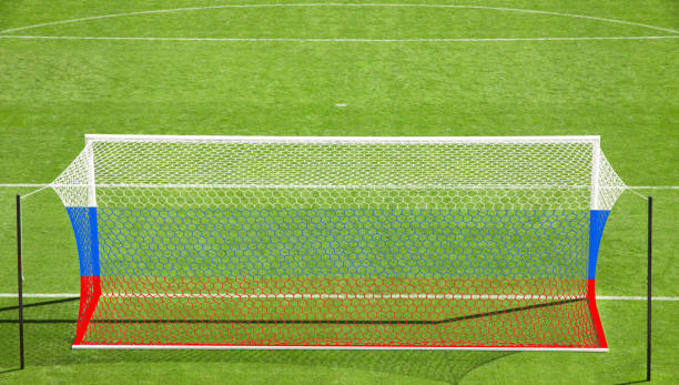 istock Soccer stadium arena with natural green grass 1255097095