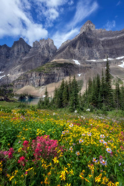 istock Ice Berg Lake Meadow 1255102294
