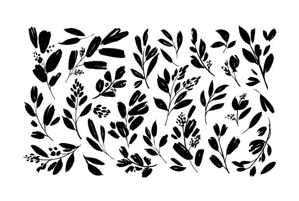 pflanzen zweizweige mit kleinen blättern schwarze farbe vektor illustrationen gesetzt. satz von schwarzen silhouetten blätter und zweige. - autumn branch leaf backgrounds stock-grafiken, -clipart, -cartoons und -symbole