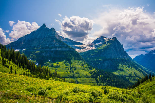 istock The mountain landscape in Glacier national park 1255113833