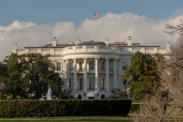 istock Front of the White House in Washington 1255114736