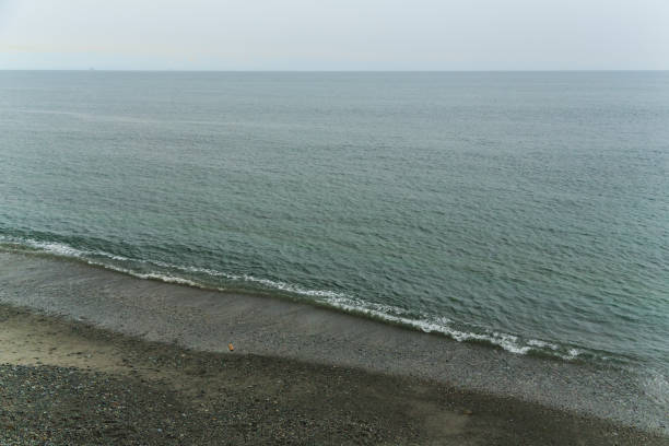Rainy Coastline in Victoria BC