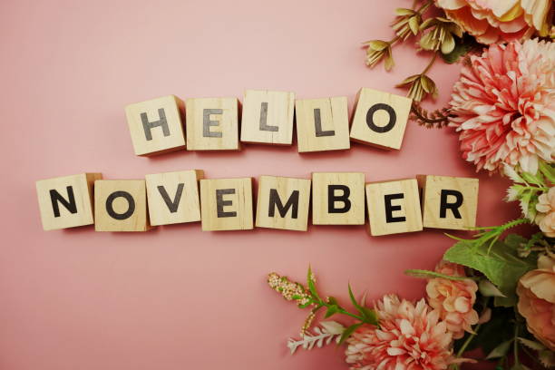 istock Hello November alphabet letter with space copy on pink background 1255115693