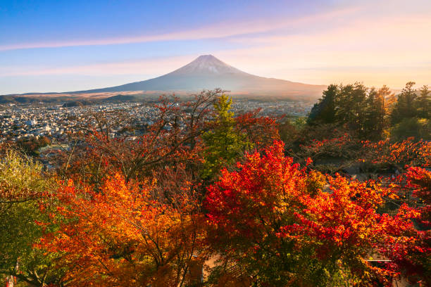 giappone bella vista sulla montagna fuji - volcano lake blue sky autumn foto e immagini stock