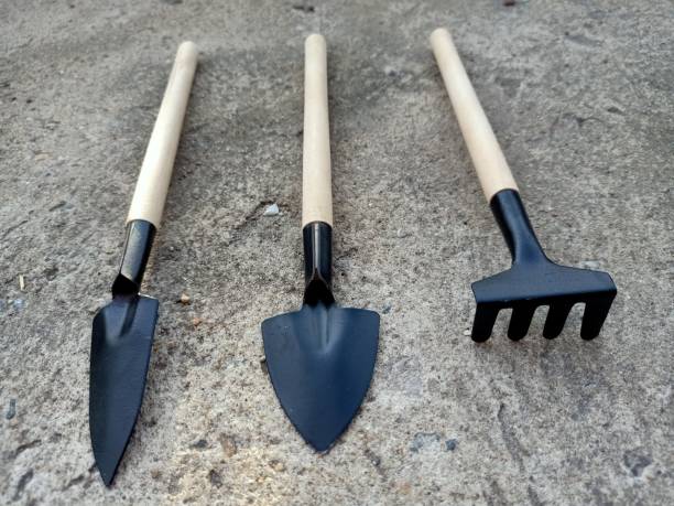 istock Small gardening equipment 1255119198