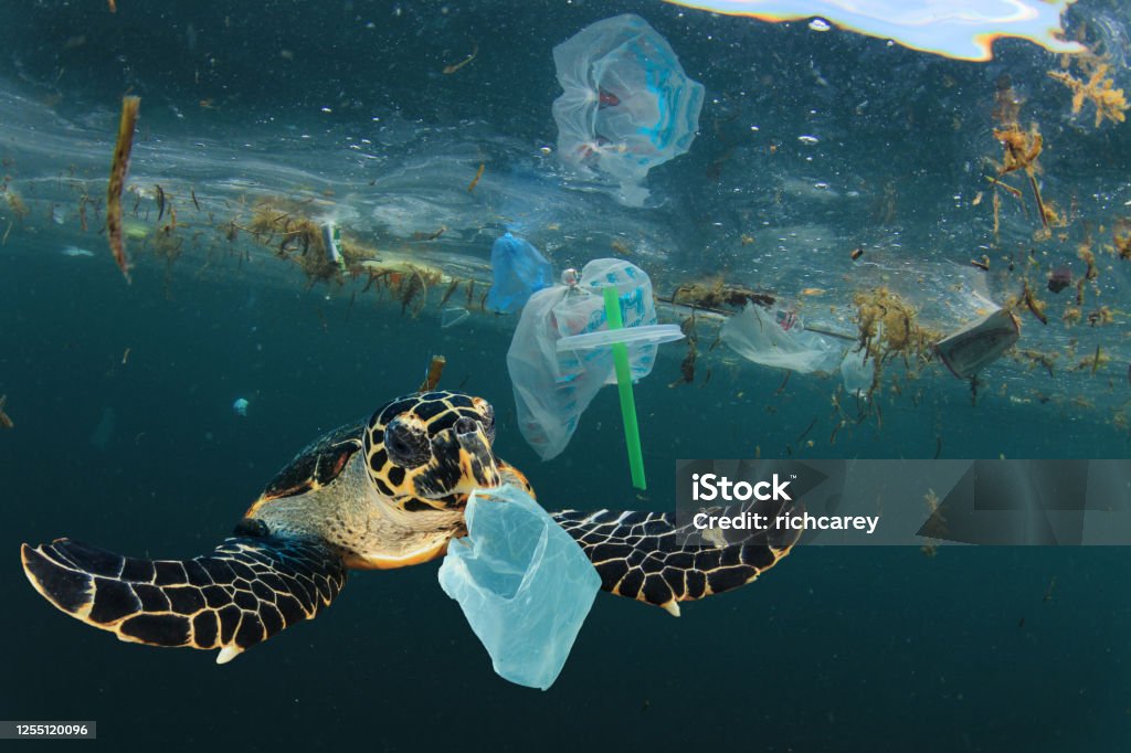 Plastik kirliliği ve Deniz Kaplumbağası sualtı - Royalty-free Deniz Stok görsel